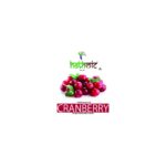 Hathmic Dried Cranberries 200g-1