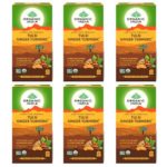 Organic India Tulsi Ginger Turmeric 25 Tea Bags